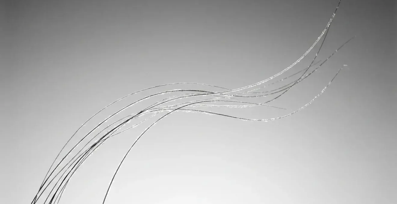 Microscopic view of hair strands showing silicone buildup layer
