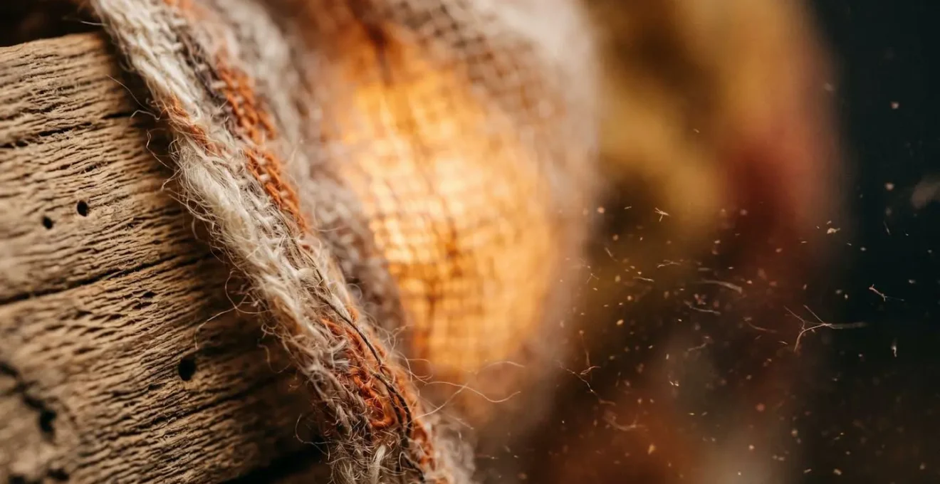 Macro detail of sensory retail design elements